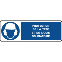 Panneau horizontal protection de la tte et de l'oue